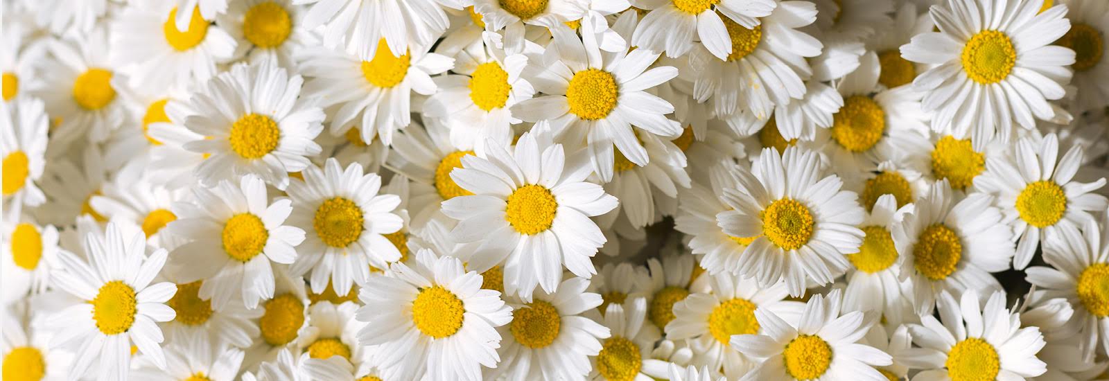 Florists in Sandhurst Yateley Crowthorne camberley Frimley